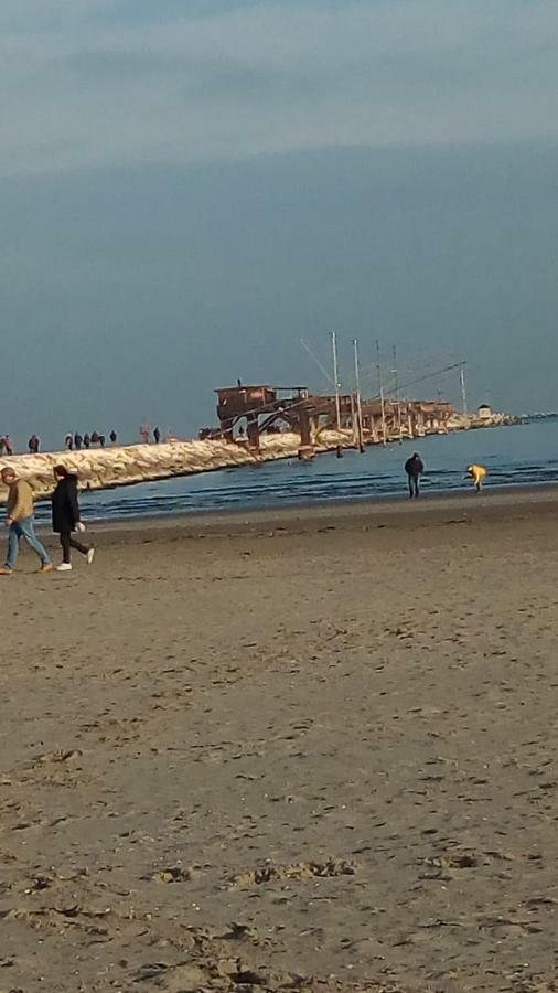 Appartamento Al Mare Lorella 索托马里纳 外观 照片